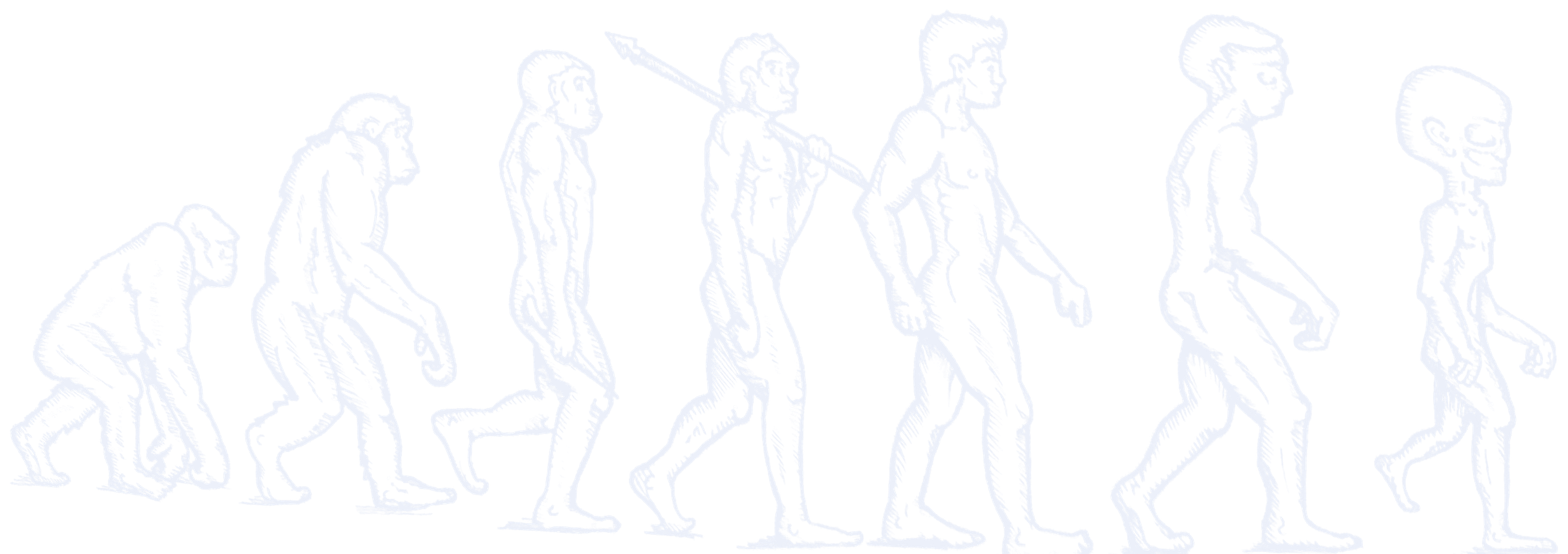 Hand-drawn line art of evolution: an ape walking on all fours slowly rises through early humans to a modern person, and then a future human with a large head